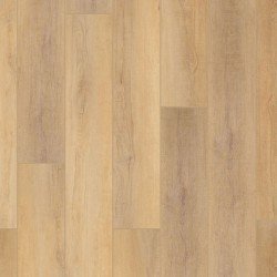 COREtec Pro Plus XL Enhanced HD - Canterbury Elm